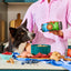 Nutriment Freeze Dried Topper Lamb 50g