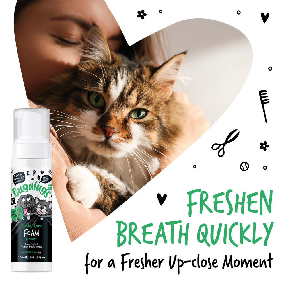 BUGALUGS DENTAL CARE FOAM FRESH MINT 200ML