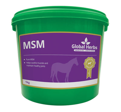 GLOBAL HERBS MSM PURE  1 KG