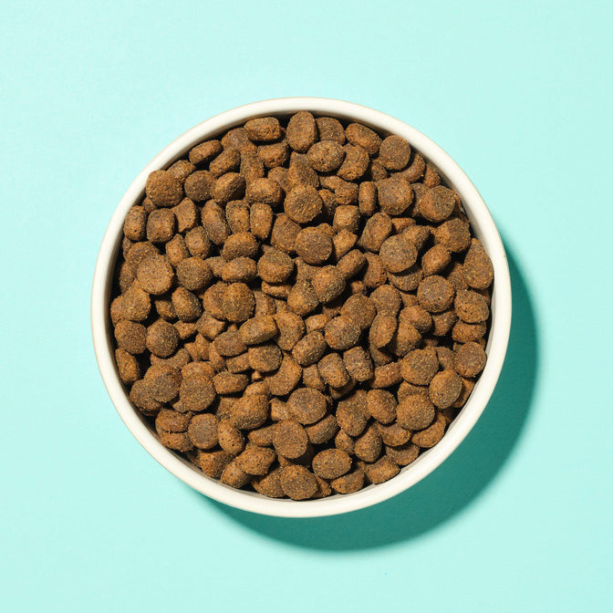 Pooch & Mutt Joint Care Dry Food - 10KG Bag