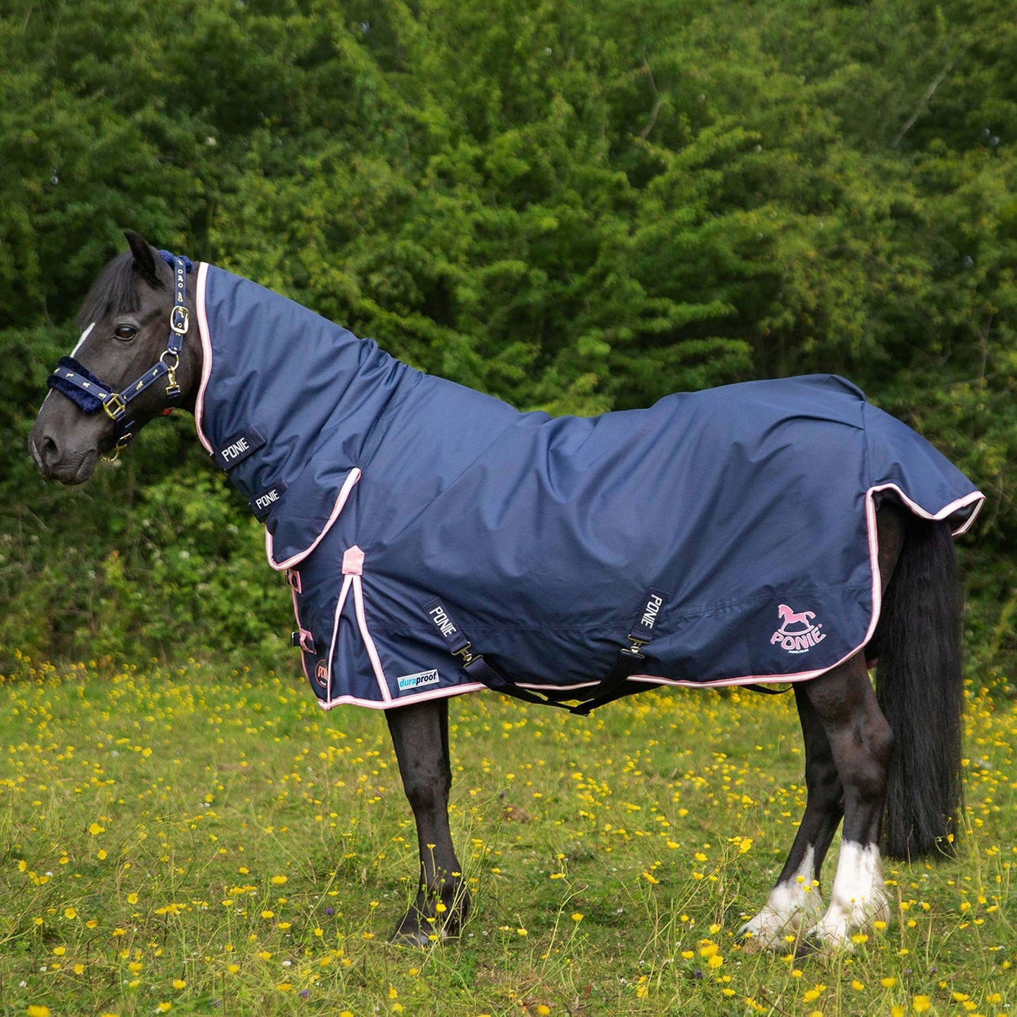 Gallop Ponie/Trojan Duraproof 50G Turnout Combo Navy