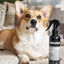 Animology Glossy Dog Conditioning Dog Spray 250ml