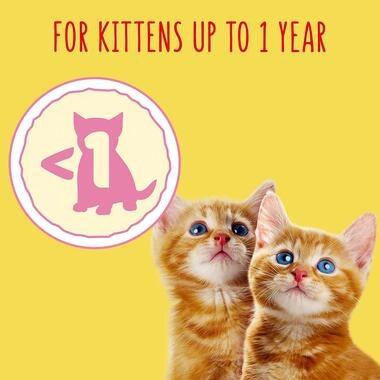 Go-Cat Junior Chicken, Milk & Veg Dry Cat Food 750g - Ormskirk Pets