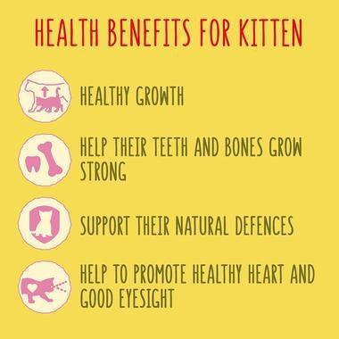 Go-Cat Junior Chicken, Milk & Veg Dry Cat Food 750g - Ormskirk Pets
