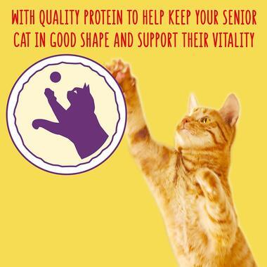 Go-Cat Senior Cat Food Chicken & Veg 750G - Ormskirk Pets
