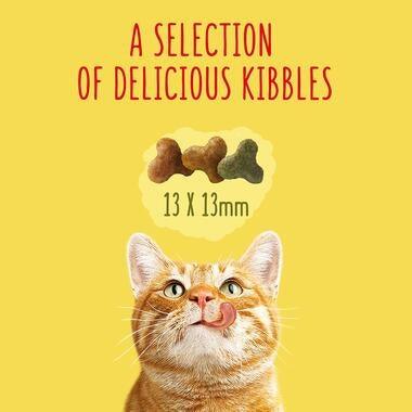 Go-Cat Senior Cat Food Chicken & Veg 750G - Ormskirk Pets