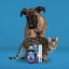 WellPaws Bone & Joint Care Syrup 300ml