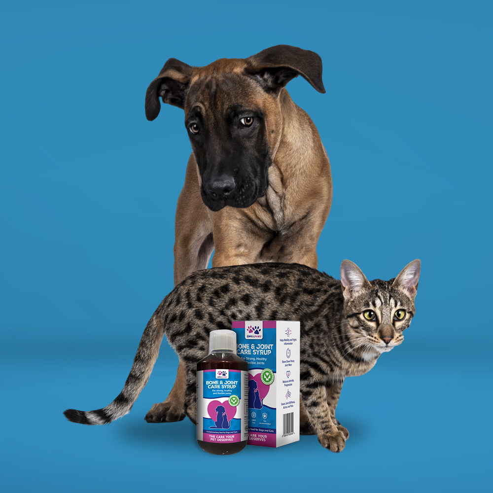 WellPaws Bone & Joint Care Syrup 300ml