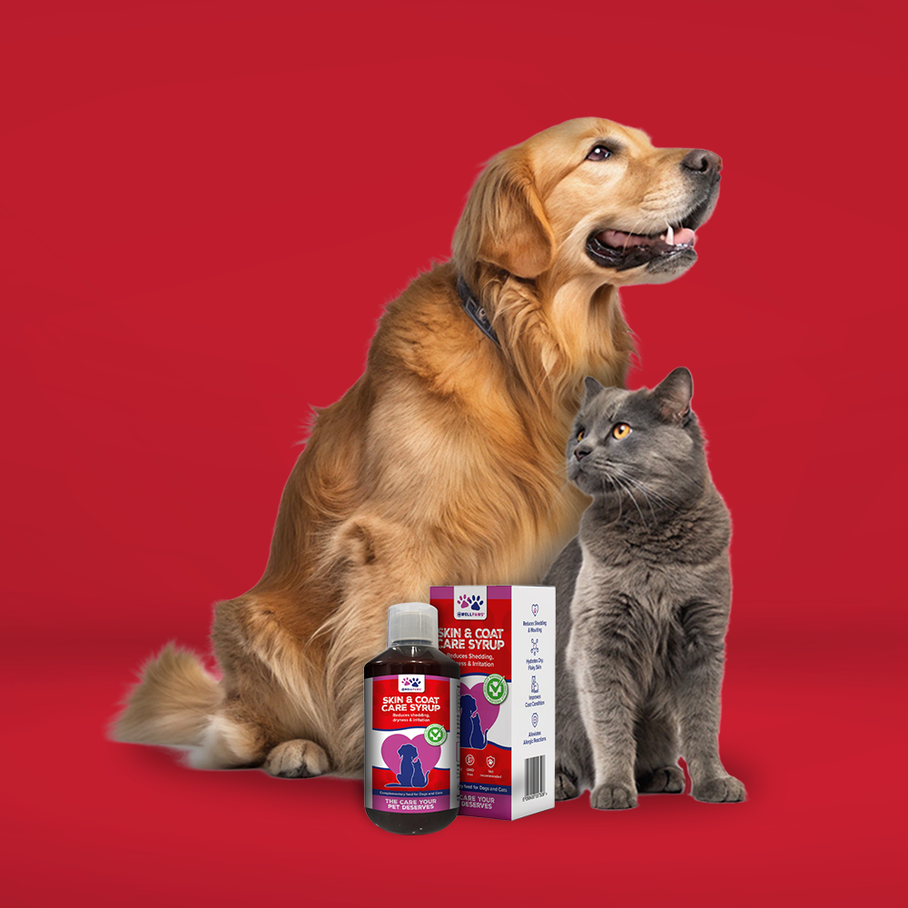 WellPaws Skin & Coat Care Syrup 300ml