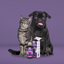 WellPaws Calming Care Syrup 300ml