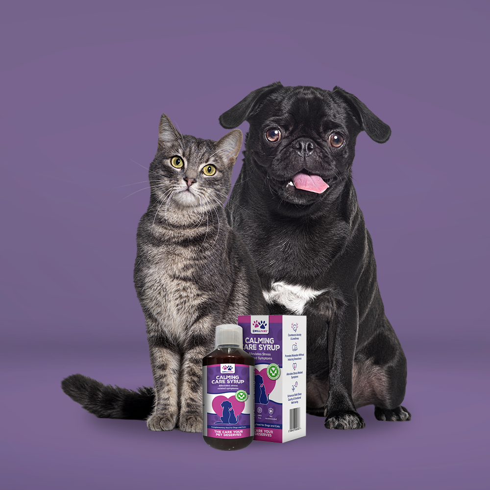 WellPaws Calming Care Syrup 300ml