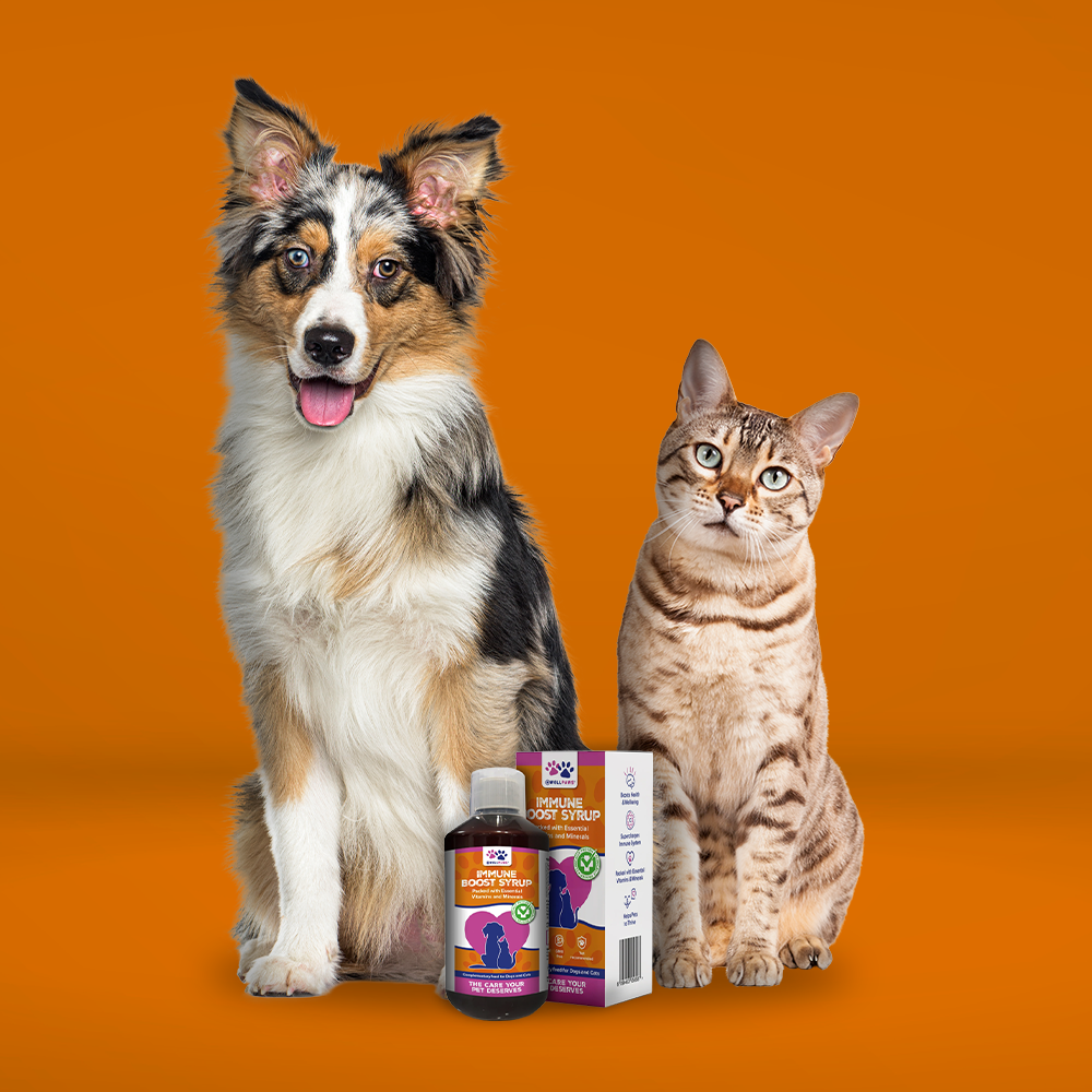 WellPaws Immune Boost Syrup 300ml
