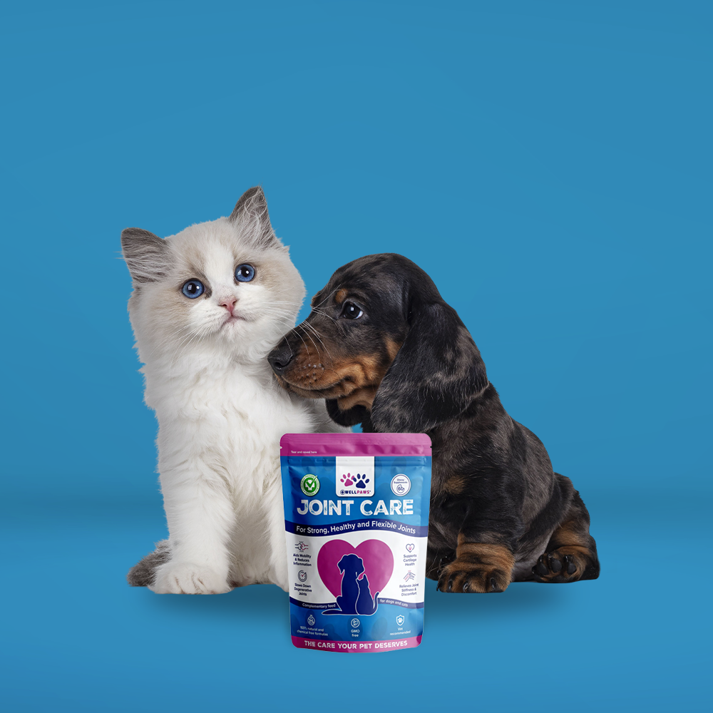 WellPaws Joint Care Chewable 180g