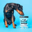 Pooch & Mutt Health & Digestion Probiotic Fish Treats