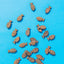 Pooch & Mutt Health & Digestion Probiotic Fish Treats