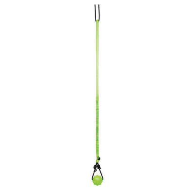 Jolly Pets Tree Tugger,Green - Ormskirk Pets