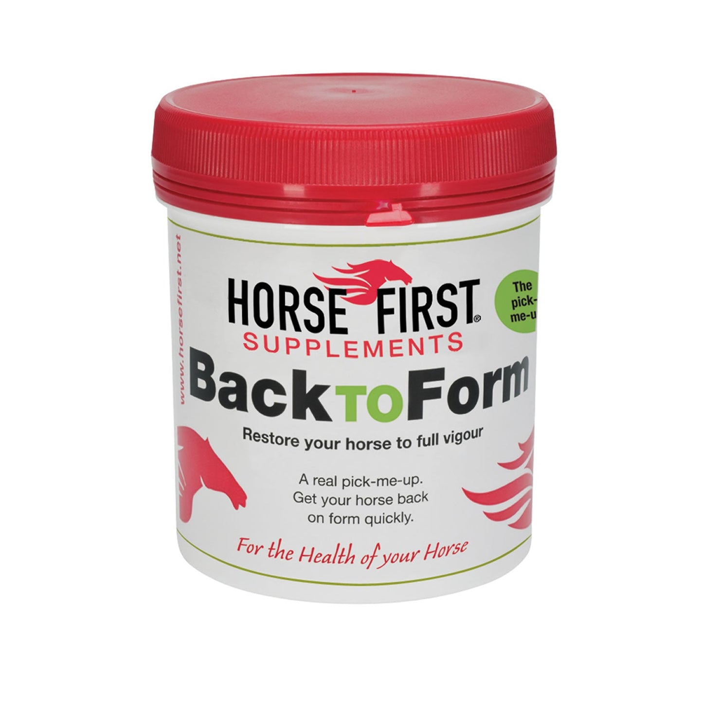 HORSE FIRST BACK TO FORM