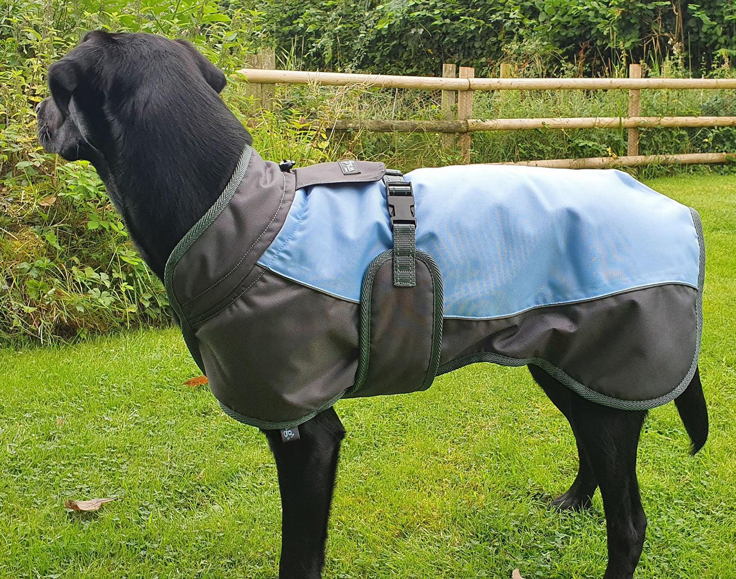 Henry Wag Waterproof Dog Coat Xlarge (65Cm) Blue/Grey - Ormskirk Pets