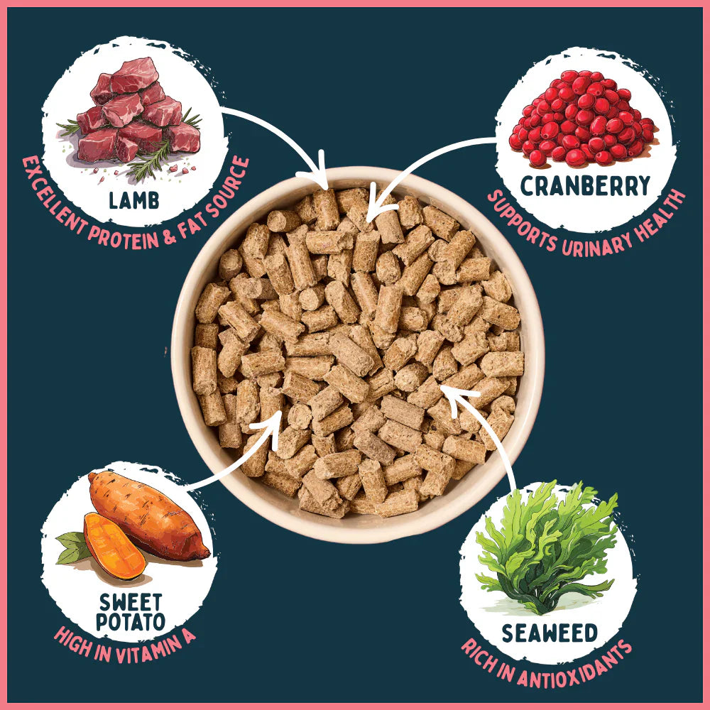 Wilsons Haggis Dry Cold Pressed Dog Food