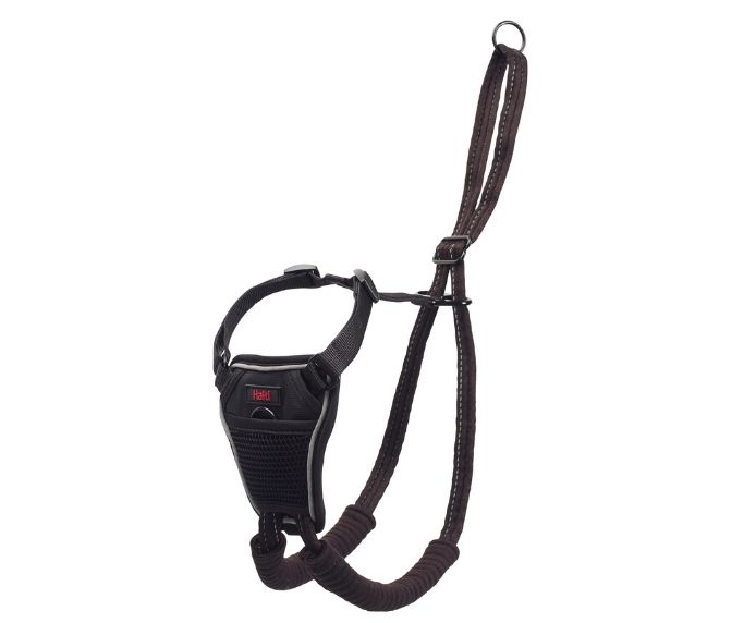 Company Of Animals Halti No Pull Harness Black X Small