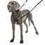 Company Of Animals Halti No Pull Harness Black X Small