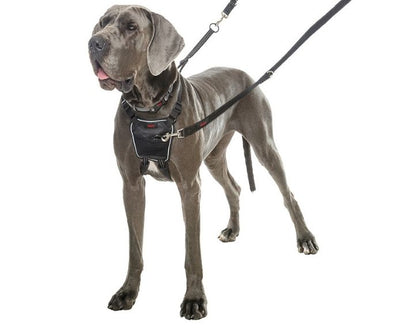 Company Of Animals Halti No Pull Harness Black X Small