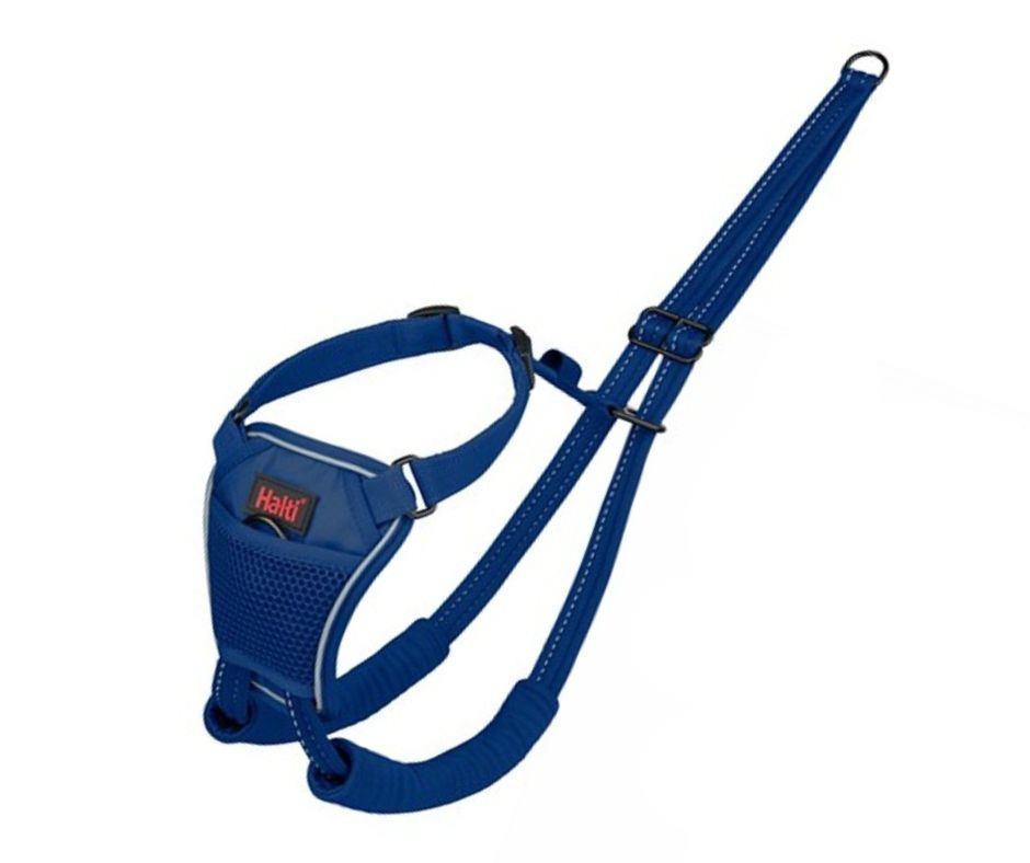 Company Of Animals Halti No Pull Harness Blue
