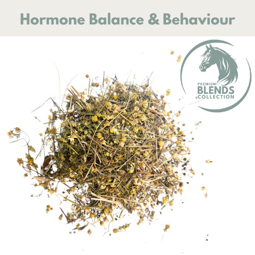 Horse Straights Direct Hormonal Support Blend 1kg