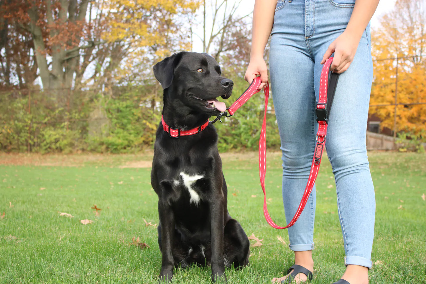 KONG Adjustable Collar Red