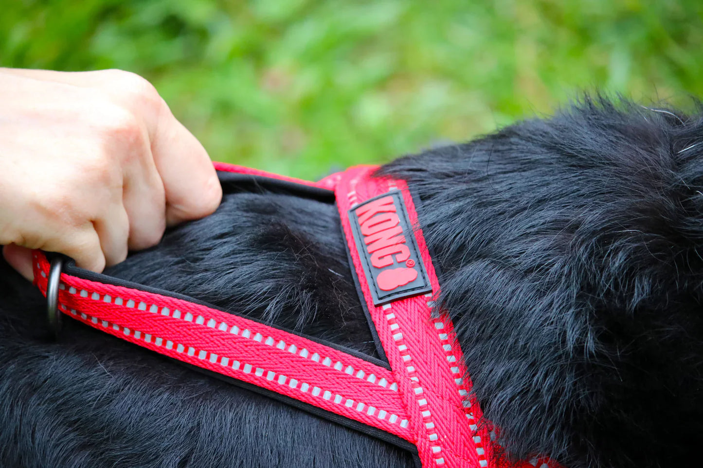 KONG Norwegian Harness Red
