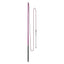 IMPERIAL RIDING LUNGING WHIP CARBON - Ormskirk Pets