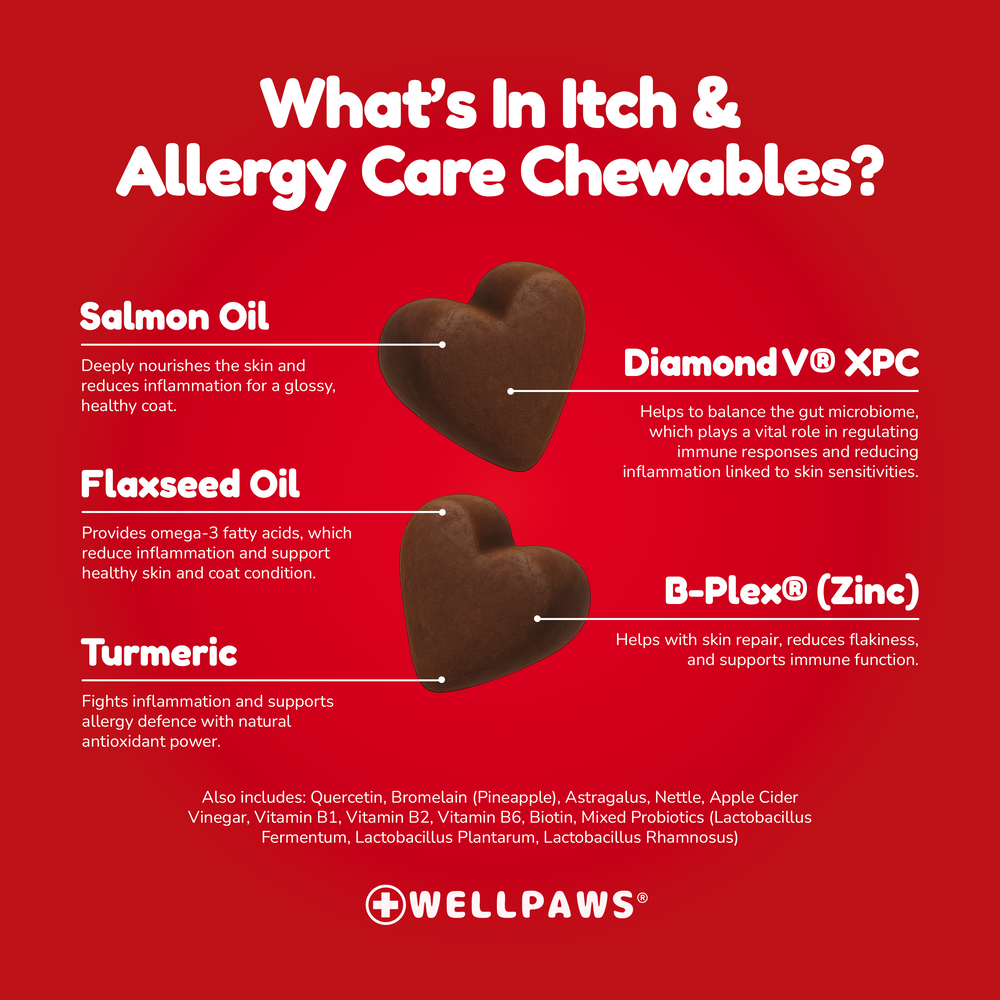 WellPaws Itch & Allergy Care Chewable 180g