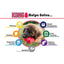 KONG Classic - Ormskirk Pets