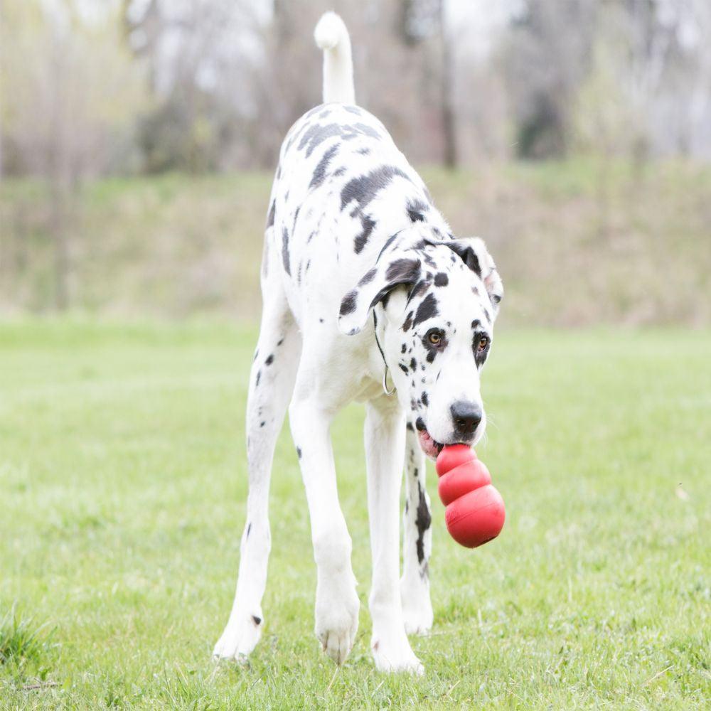KONG Classic - Ormskirk Pets