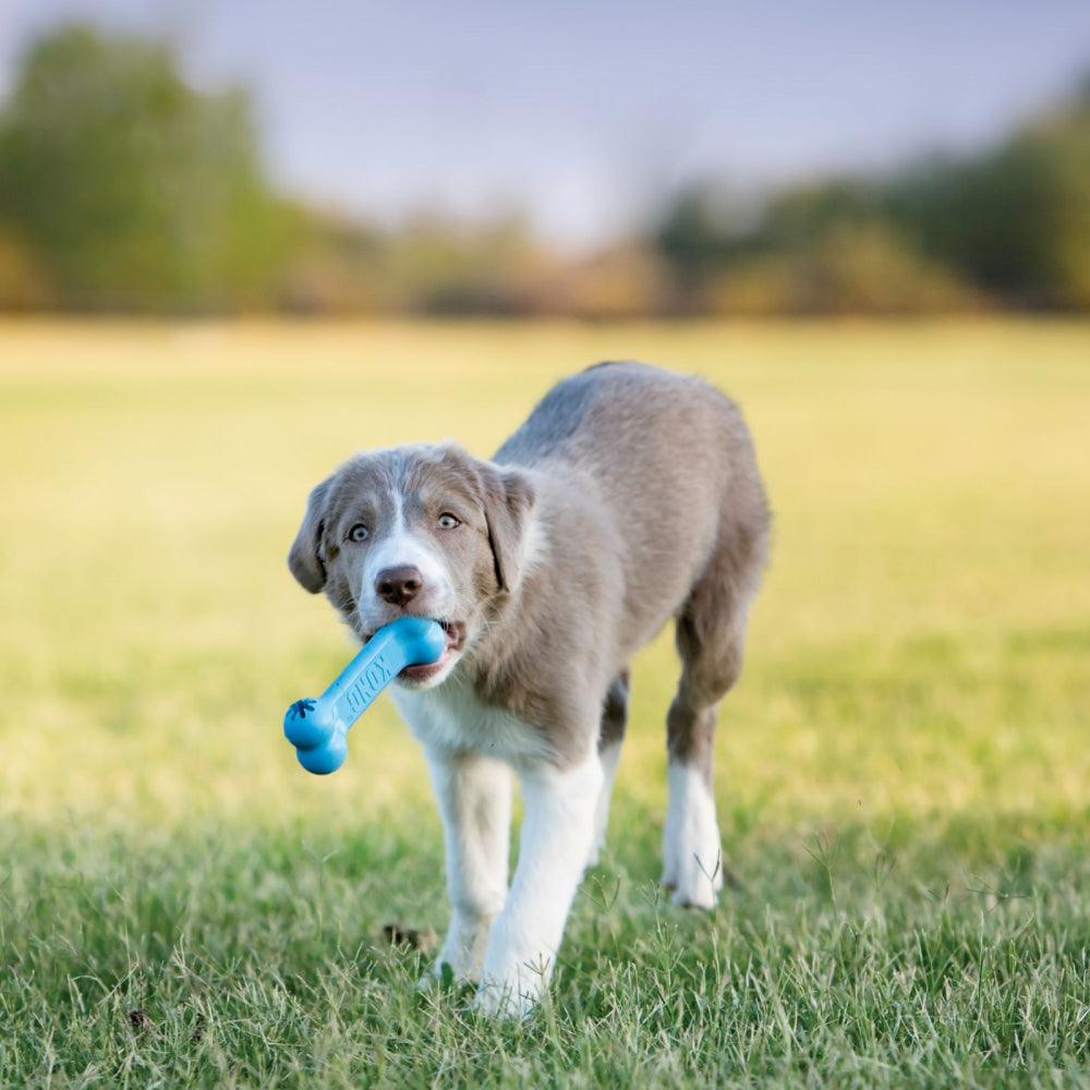 KONG Puppy Goodie Bone - Ormskirk Pets