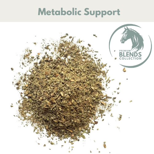 Horse Straights Direct Metabolic Support Blend 1kg