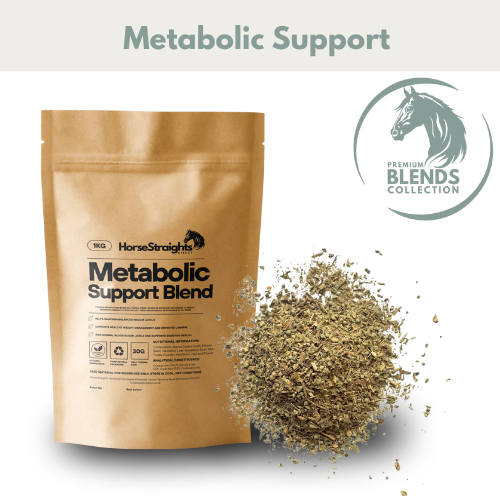 Horse Straights Direct Metabolic Support Blend 1kg