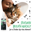 BUGALUGS DENTAL CARE SPRAY FRESH MINT 200ML
