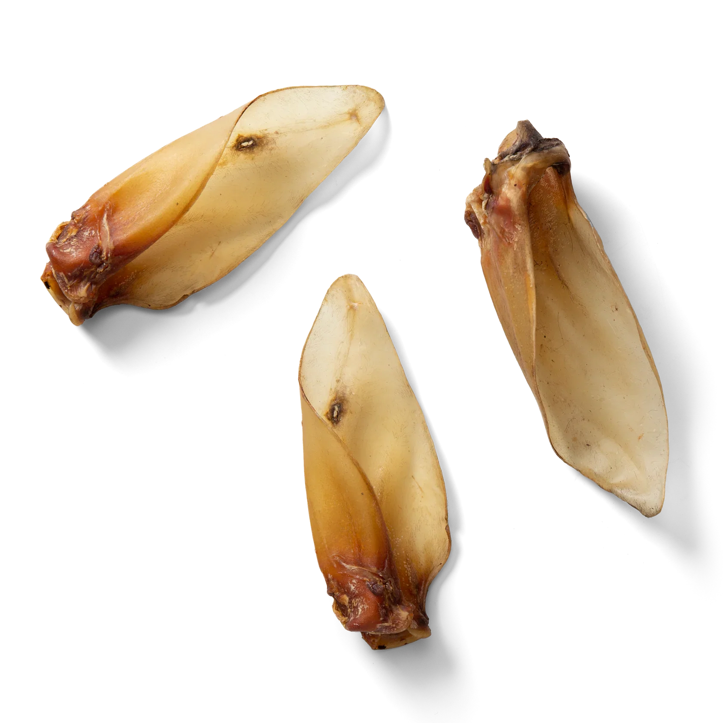 NAW Buffalo Ears, 4PK