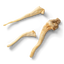 NAW Lamb Tails