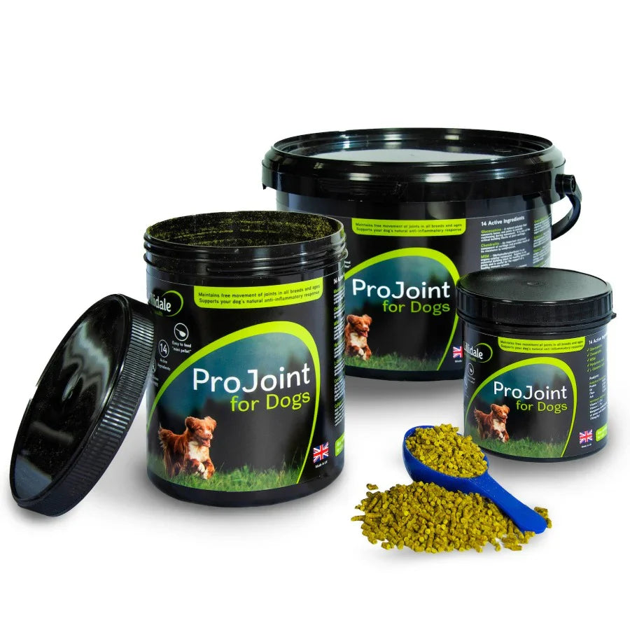 Lilidale Pro Joint For Dogs 200G