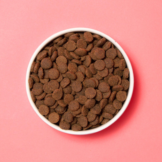 Pooch & Mutt Primal Wild Boar High Meat Dry Food - Regular Kibble