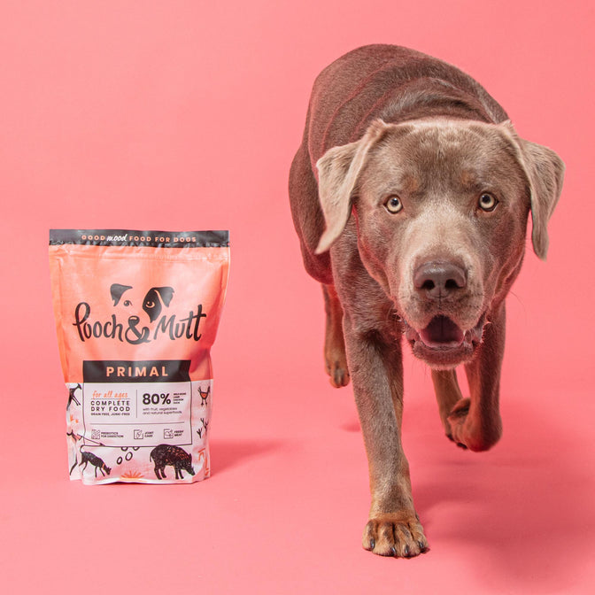 Pooch & Mutt Primal Wild Boar High Meat Dry Food - Regular Kibble