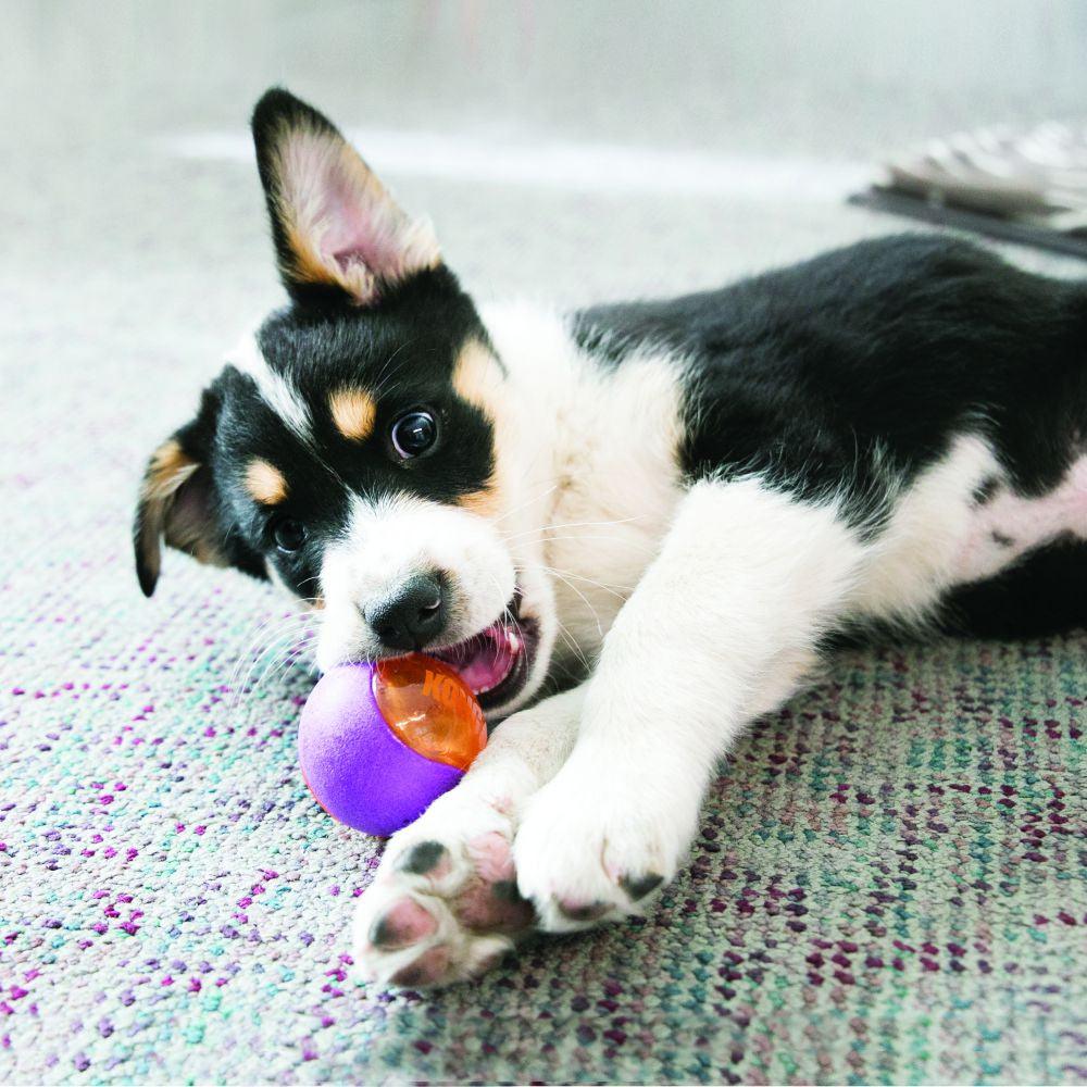 KONG Squeezz Action Red - Ormskirk Pets