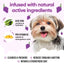 Buddycare Dog Grape Shampoo