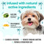 Buddycare Dog Shampoo Tropical