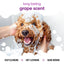 Buddycare Dog Grape Shampoo