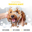 Buddycare Banana Dog Shampoo 500ml