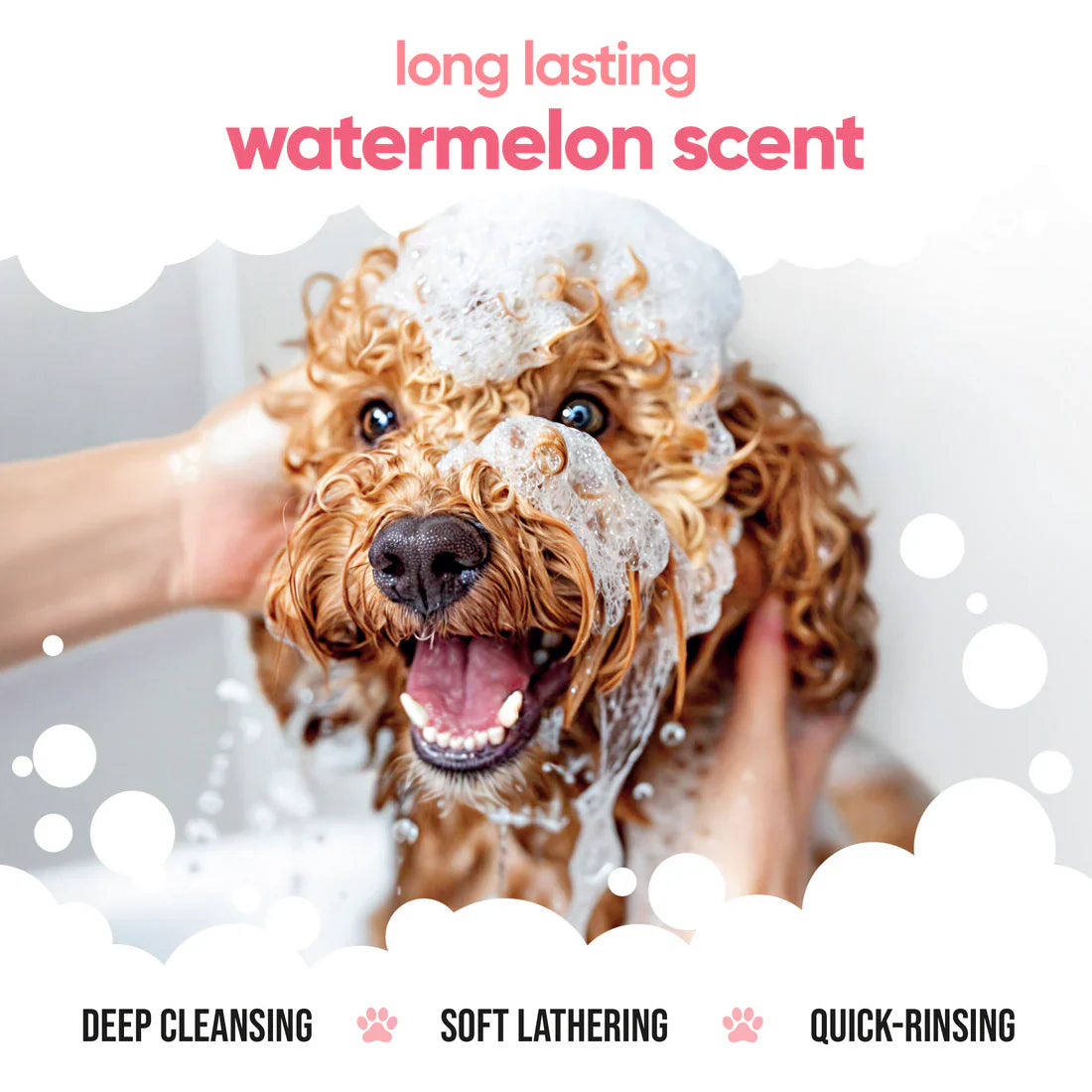 Buddycare Watermelon Dog Shampoo 500ml