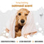 Buddycare Oatmeal Dog Conditioner 500ml